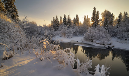 Loinclothed hobby; Obrzek dne - the picture od the day - awa rel - Oleg Poarkov