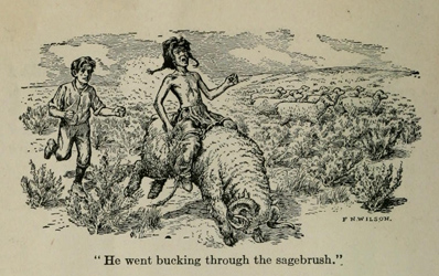 Loinclothed hobby; Obrzek dne - the picture od the day - awa rel - The white indian boy, written and ilustrated by F.L. Wilson, World Book Company, 1922 