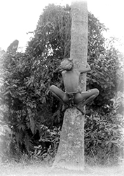 Loinclothed hobby; Obrzek dne - the picture od the day - awa rel - Jongen beklimt een kokospalm