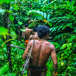 Loinclothed hobby; Obrzek dne - the picture od the day - awa rel - The Mentawai hunt, Siberut Island, Indonesia, Photo by Fabien Astre
