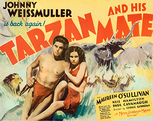 Loinclothed hobby; Obrzek dne - the picture od the day - awa rel - Tarzan and His Mate - (MGM, 1934) - William Galbraith Crawford Artwork, Johnny Weissmuller aka Tarzan 