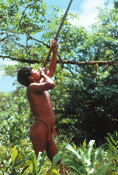 Loinclothed hobby; Obrzek dne - the picture od the day - awa rel -   Embera hunter