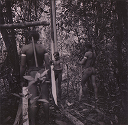 Loinclothed hobby; Obrzek dne - the picture od the day - awa rel -  Wai Wai tribe members stripping bark in the middle of the forest