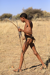 Loinclothed hobby; Obrzek dne - the picture od the day - awa rel -  Kalahari San,  Tribe Khomas Namibia South Western Africa