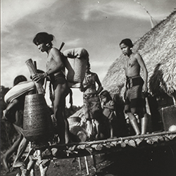 Loinclothed hobby; Obrzek dne - the picture od the day - awa rel - centrln Vietnam, 1950 ~ 1960, photo by Jean Boulbet