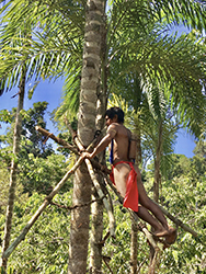 Loinclothed hobby; Obr�zek dne - the picture od the day - �awa rel -  Amazonia, Venezuela -  Yanomami