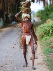 Loinclothed hobby; Obr�zek dne - the picture od the day - �awa rel -  Pondicherry Villages