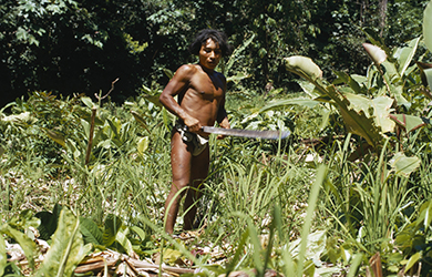 Loinclothed hobby; Obr�zek dne - the picture od the day - �awa rel -   Hombre embera con machete en la selva 
