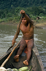 Loinclothed hobby; Obr�zek dne - the picture od the day - �awa rel -  Hombre embera con un remo 