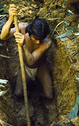 Loinclothed hobby; Obr�zek dne - the picture od the day - �awa rel -  Hombre embera cava un hoyo 