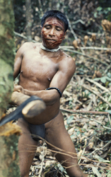 Loinclothed hobby; Obr�zek dne - the picture od the day - �awa rel -  Hombre ind�gena talando un �rbol 