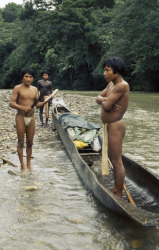 Loinclothed hobby; Obr�zek dne - the picture od the day - �awa rel -  Tres hombres embera en la ribera de un r�o 