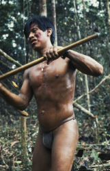 Loinclothed hobby; Obr�zek dne - the picture od the day - �awa rel -  Retrato del jefe ind�gena Bosco talando un �rbol 