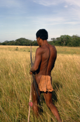 Loinclothed hobby; Obr�zek dne - the picture od the day - �awa rel -  Cazador cuiva se desplaza por la Llanura del Orinoco 