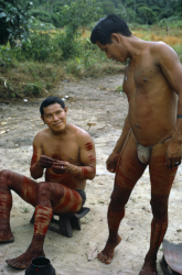 Loinclothed hobby; Obr�zek dne - the picture od the day - �awa rel -  Hombres ind�genas decoran sus cuerpos con tintura roja