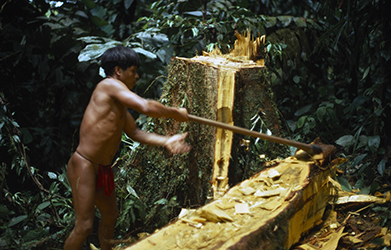 Loinclothed hobby; Obr�zek dne - the picture od the day - �awa rel -  Embera construyendo una canoa 