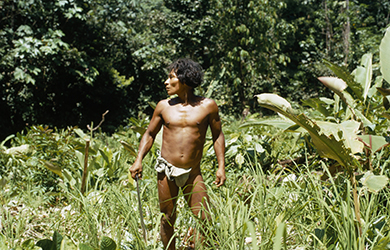 Loinclothed hobby; Obr�zek dne - the picture od the day - �awa rel - Hombre embera con machete en la selva 