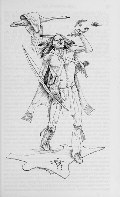 Art of John Kahionhes Fadden ~  author:  Erminnie Adele Platt Smith ~  Myths of the Iroquois