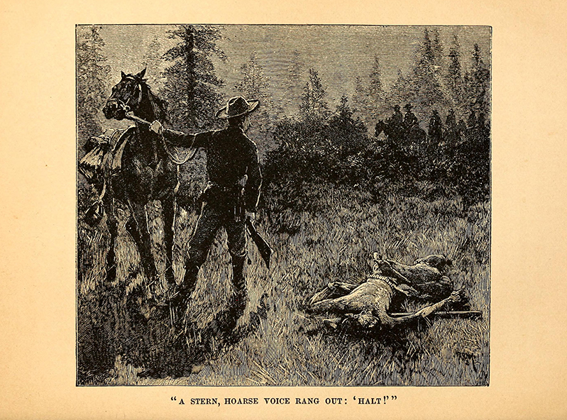 Two Arrows by  W. O. Stoddard, 1886, illustrated by Farny