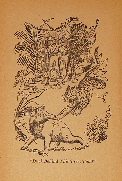 Tom Stetsonon the Trail of the Lost Tribe, by John Henry Cutler, illustrated by Ursula Koering, Whitman Publishing Company ~ 1948