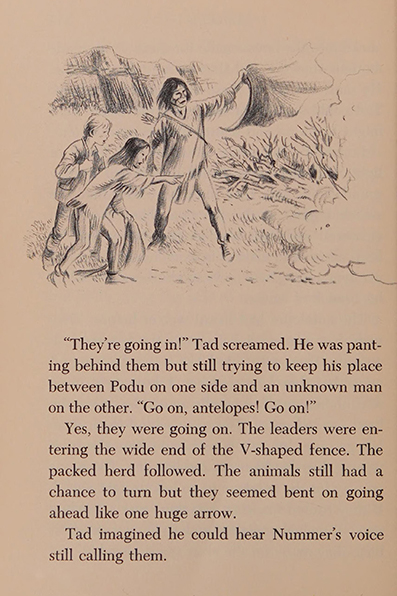 Antelope Singer, by Ruth M. Underhill, illustrated by Ursula Koering, Coward Mc-Cann, Inc. New York ~ 1965 