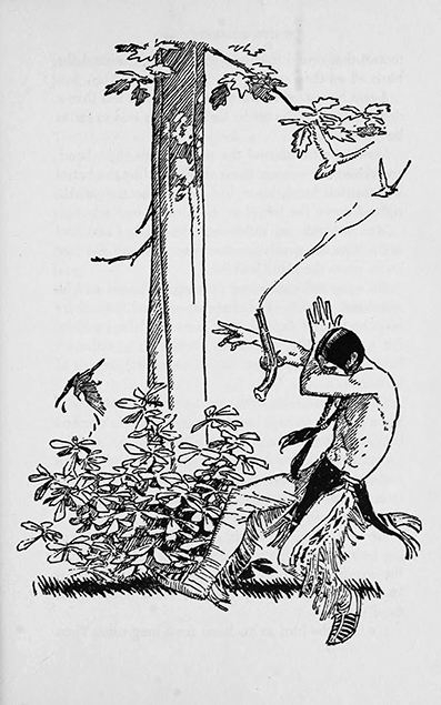 The White Falcon, by Sydney E. Fletcher, illustrated by Frederick T. Chapman,  New York, Knopf ~ 1955 