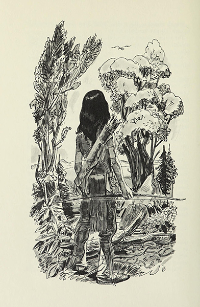 Wayah of the real people, Autor of the book: William Owen Steele, Illustrated by: Isa Barnett, New York : Holt, Rinehart ~   1964 