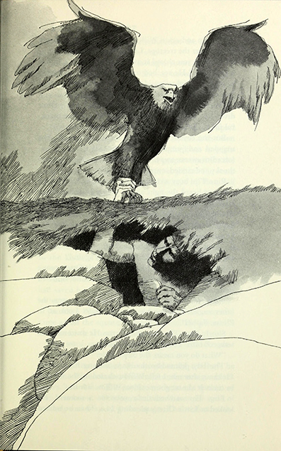 The golden coyote, May Nelson,  Eileen Thompson, illustrated by Richard  Cuffari 