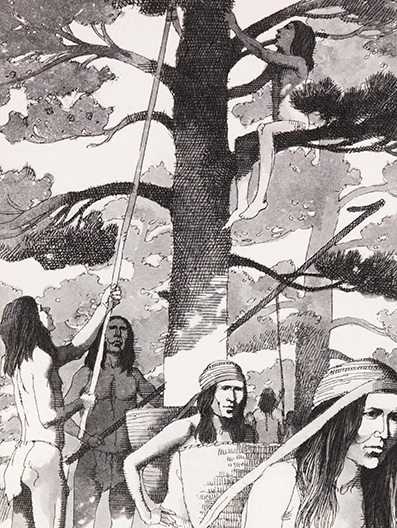 The Chippewa Indians, Sonia Bleeker, illustrated by Patricia Boodell  